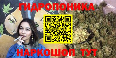 мдпв Мариинск