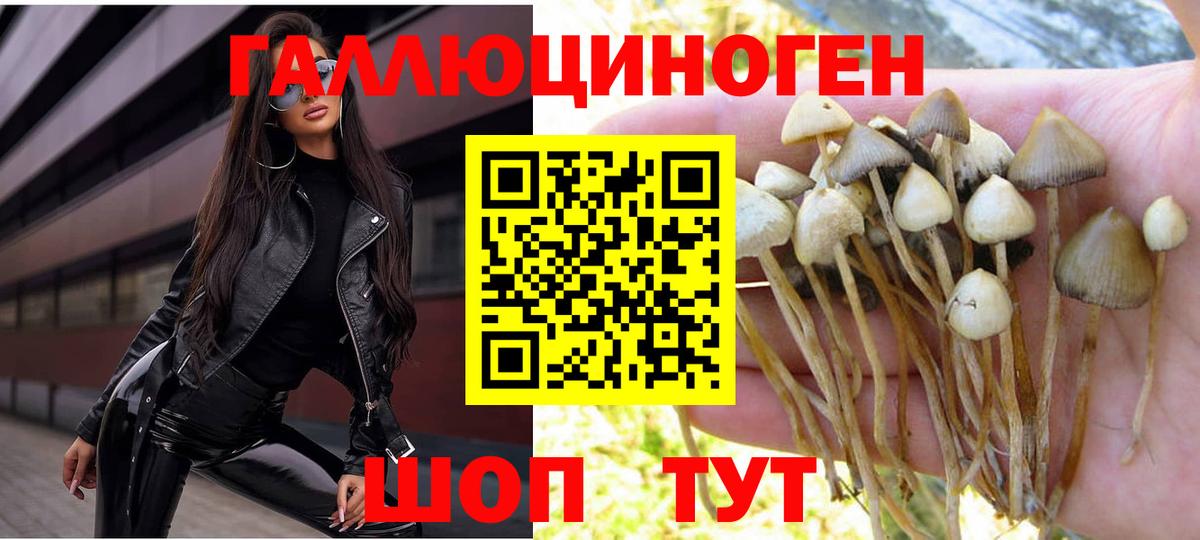 Псилоцибиновые грибы MAGIC MUSHROOMS  Вход с VPN  Галлюциногенные грибы мицелий  Старая Купавна 